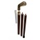 Golf, collapsible cane