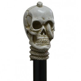 Skull with snake, ivory colour, black beech wood 