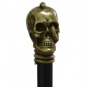 Skull with snake, old gold colour, black beech wood 