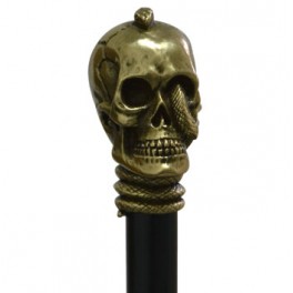 Skull with snake, old gold colour, black beech wood 